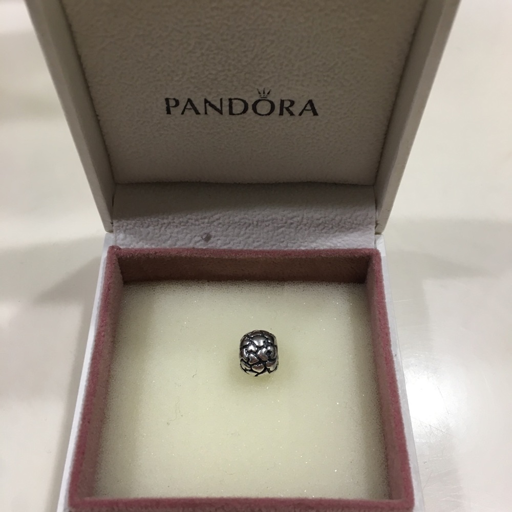 Pandora Lotsa Love Charm